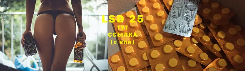 мега ТОР  наркошоп  Трубчевск  Лсд 25 экстази ecstasy 